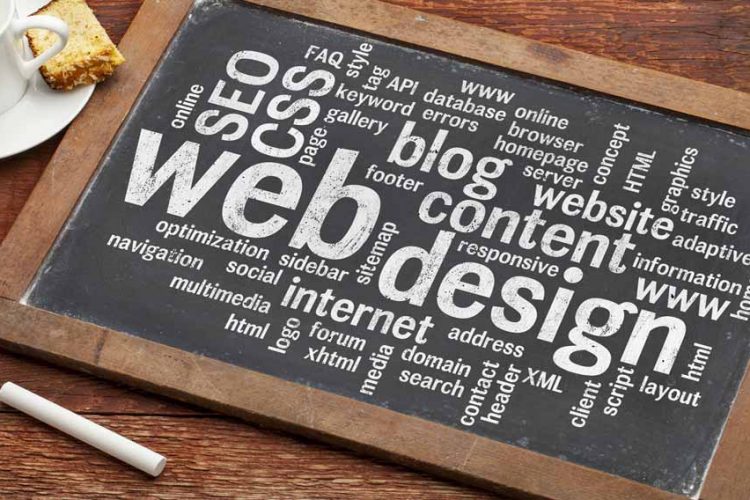 Web Design Beginners