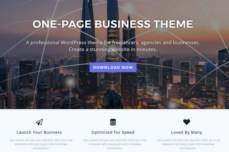 One Page WordPress Website